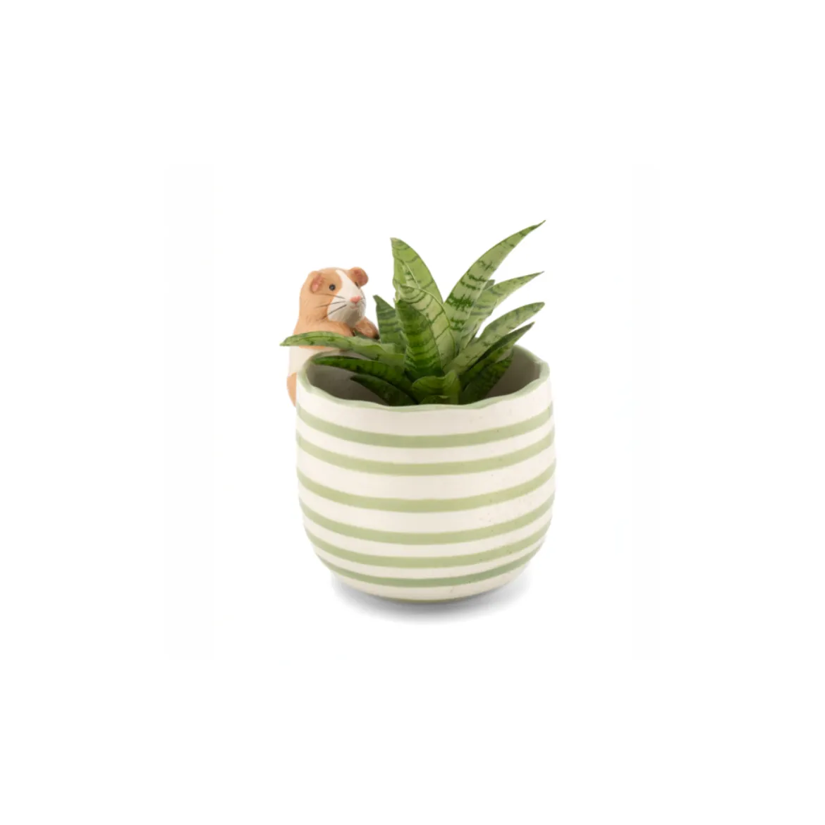 Pot peeking Guinea Pig