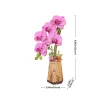 Puzzle 3D - Purple Moth Orchid