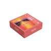 Puzzle Roland-Garros Paul ROUSTEAU, 2024 - 1000 pièces - 49x68 cm