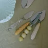 Set de 3 Couteaux à Fromage Lemon