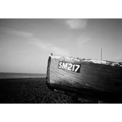 Simple Use Camera LomoChrome Black/White