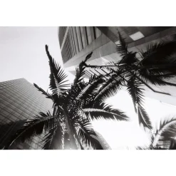 Simple Use Camera LomoChrome Black/White