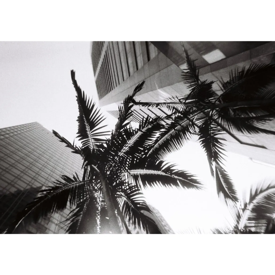 Simple Use Camera LomoChrome Black/White