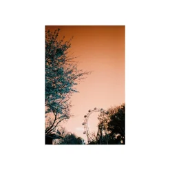 Simple Use Camera LomoChrome Turquoise