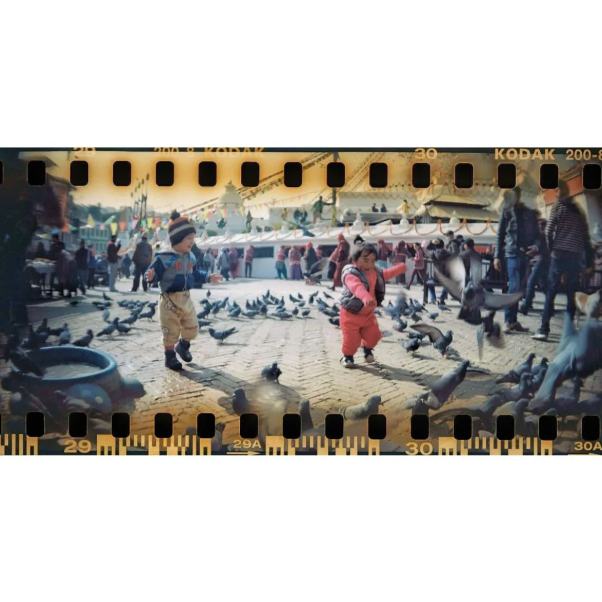 Sprocket Rocket Panoramic 35mm Baja Blue