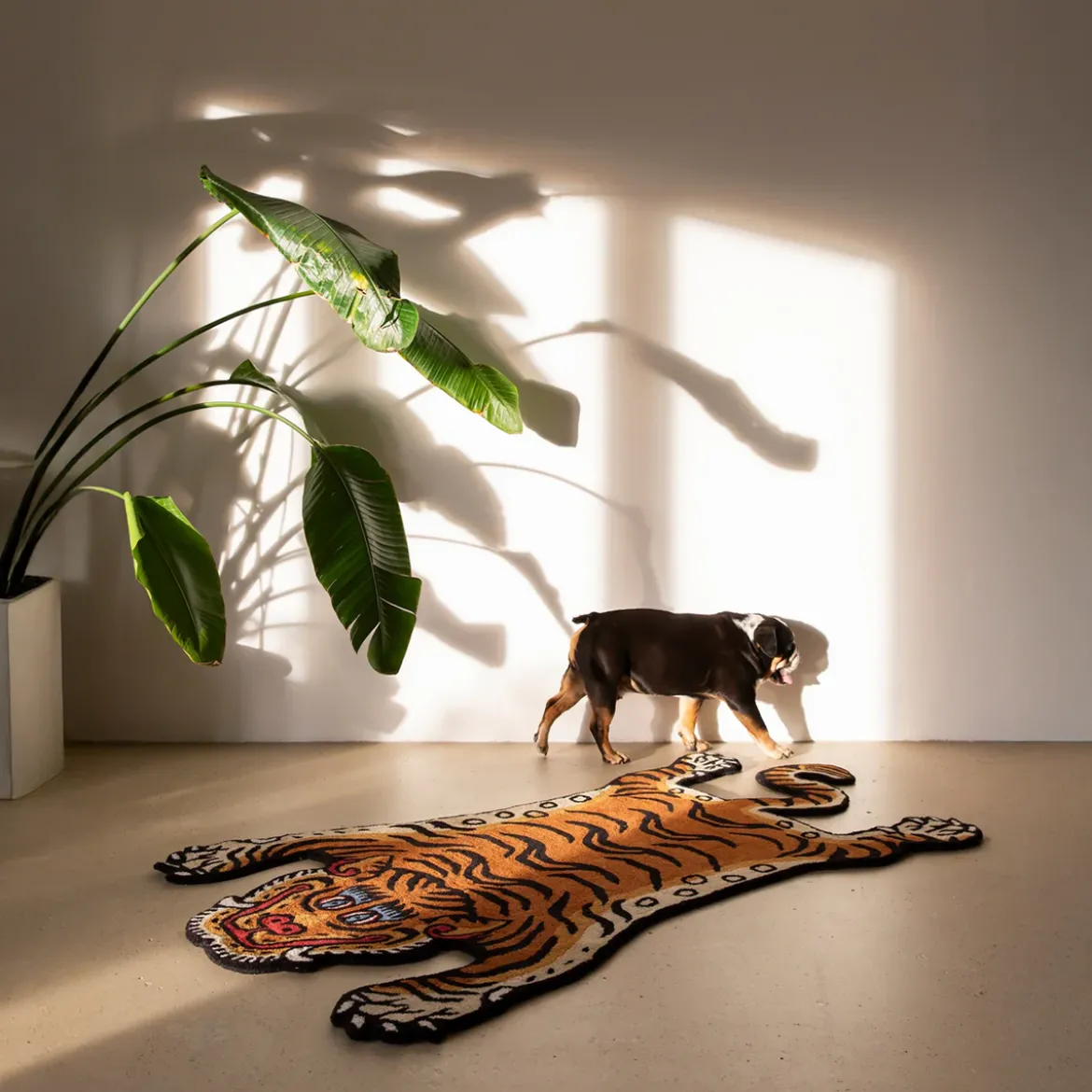 Tapis Tigre