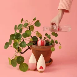 Trio Mini Ollas Diffuseurs d'eau - Les lovers