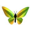Trophée Origami Papillon Birdwing Vert Mangue