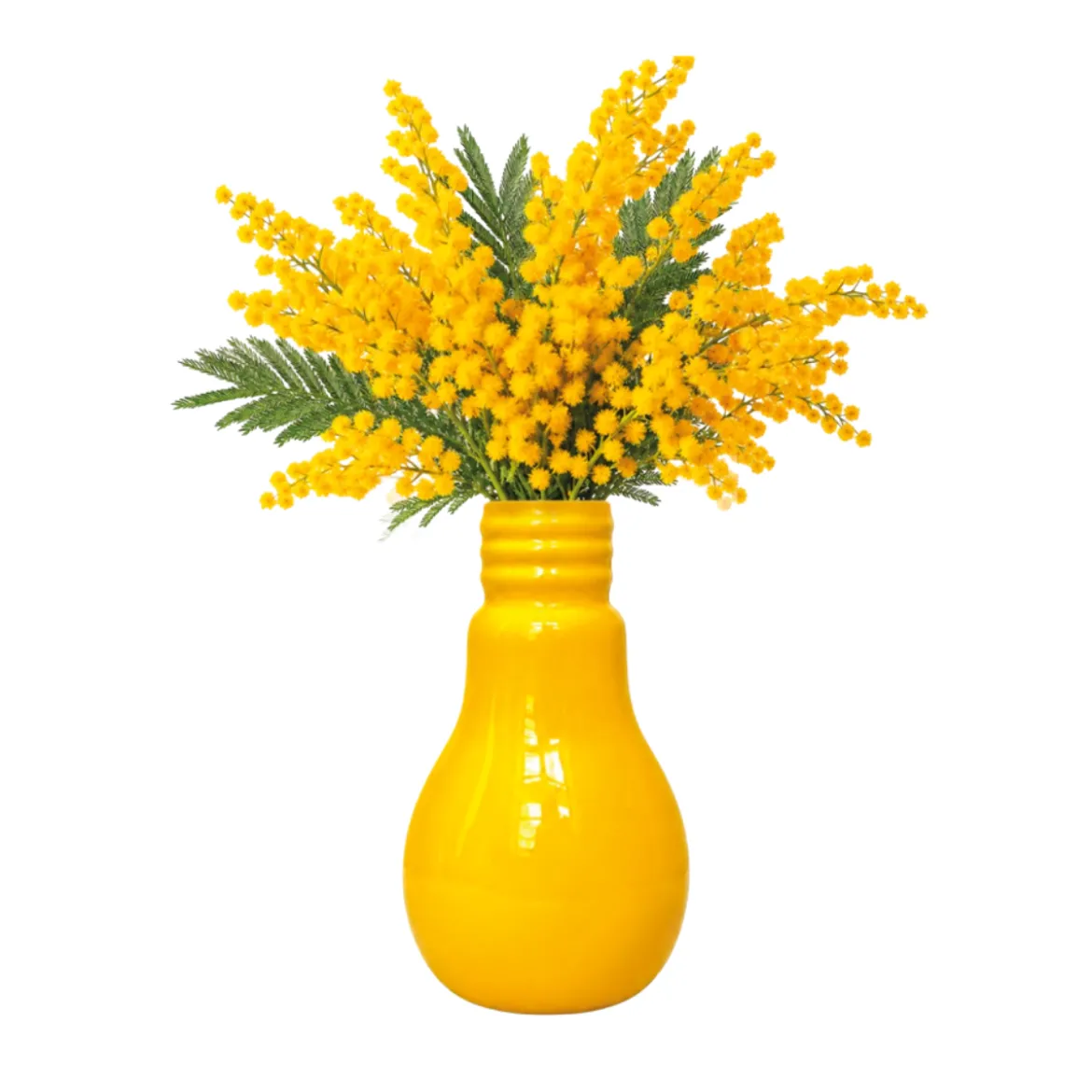 Vase Ampoule
