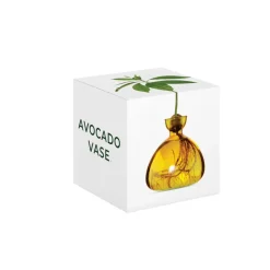 Vase en verre pour avocat