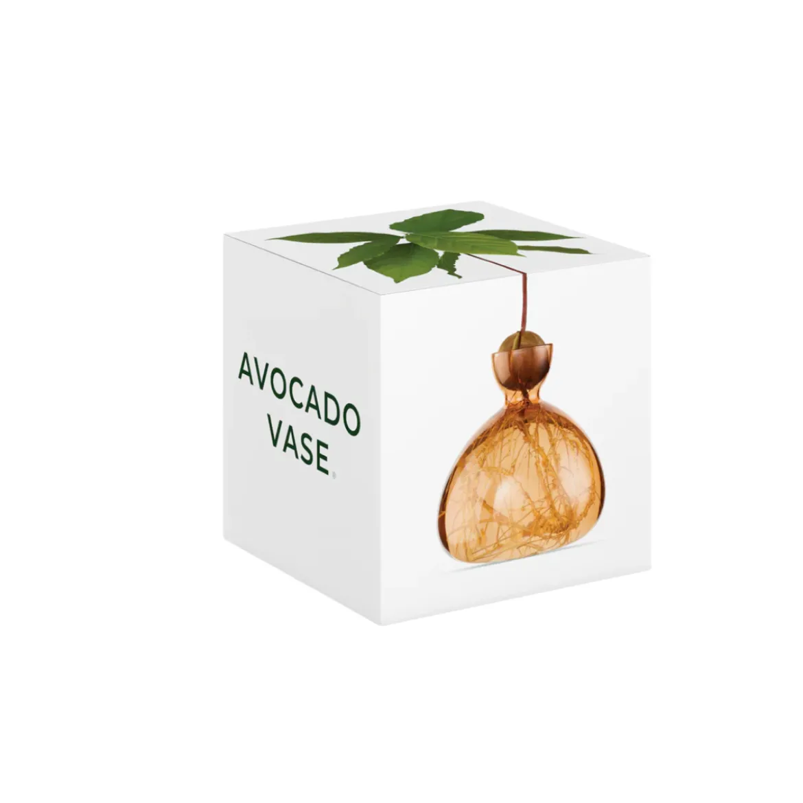 Vase en verre pour avocat