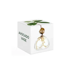 Vase en verre pour avocat