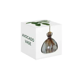 Vase en verre pour avocat
