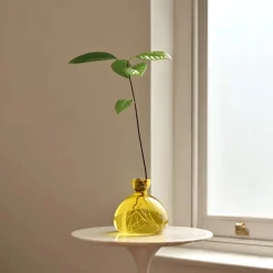 Vase en verre pour gland