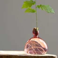 Vase en verre pour gland