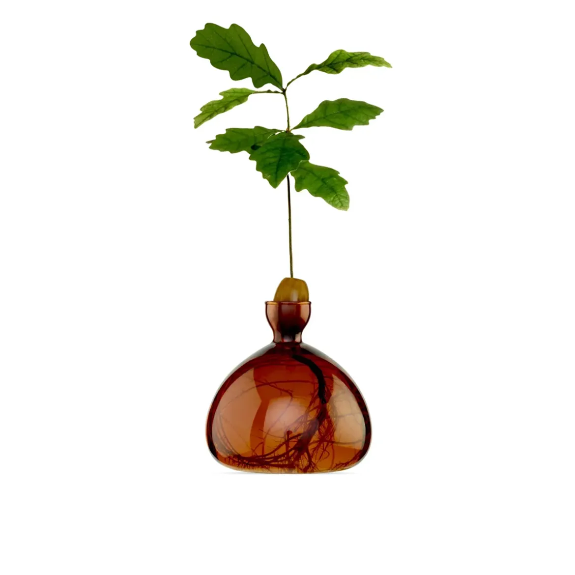 Vase en verre pour gland