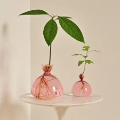 Vase en verre pour gland