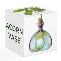 Vase en verre pour gland Cosmic