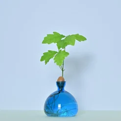 Vase en verre pour gland Cosmic