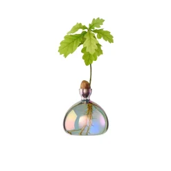 Vase en verre pour gland Cosmic