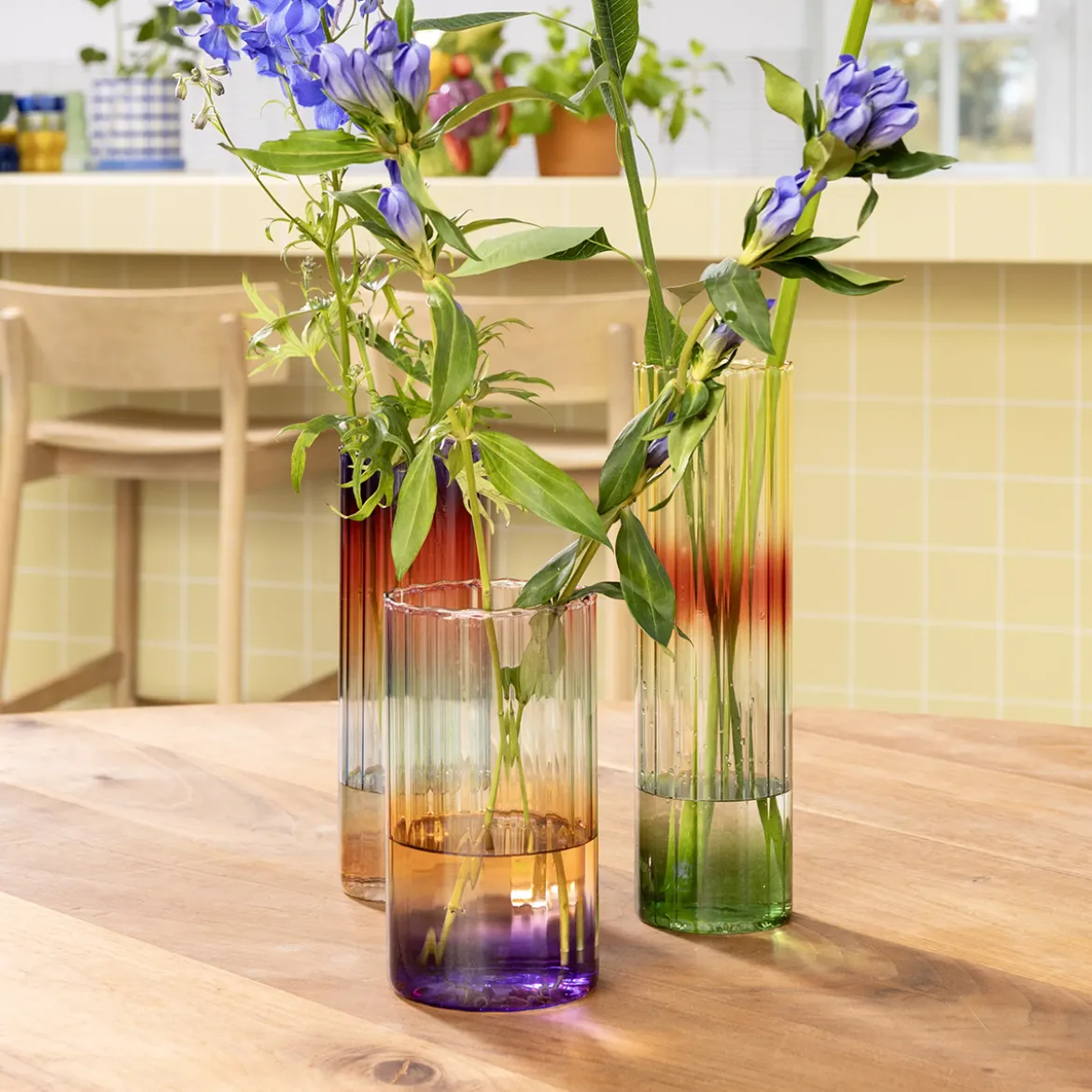 Vase Gradient Evening - Small