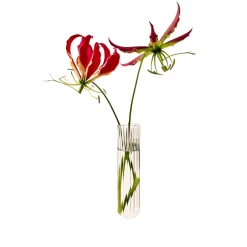 Vase Mural XL