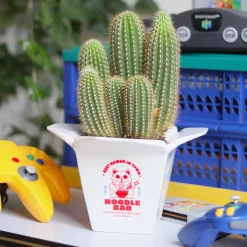 Vase Ramen