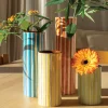 Vase Ray - Vert