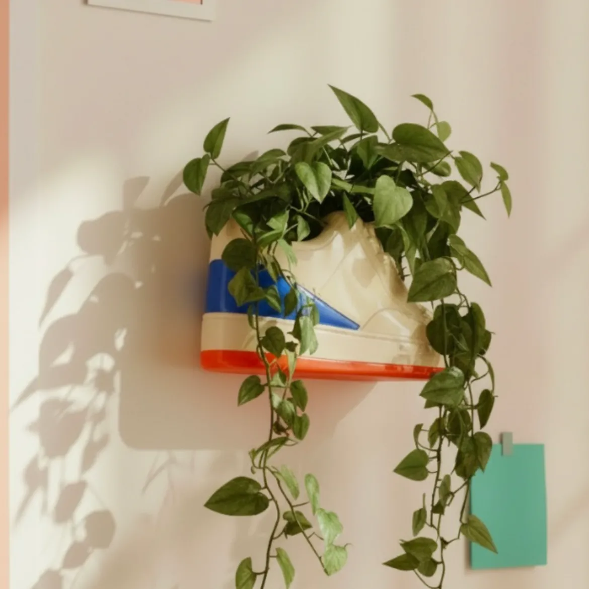 Vase Sneaker