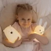 Veilleuse Ours