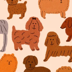 Éventail Puppies