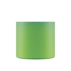 Young Bottle 050 - Bob Squad 500 ml